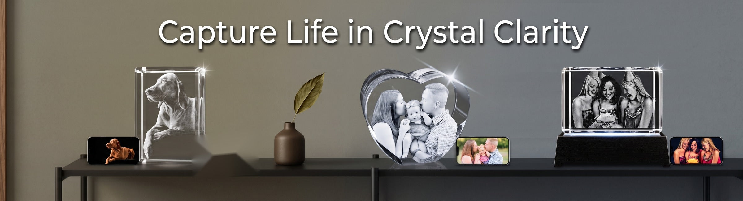 Crystal 3D Pix Local Partner Program for Pet and Retail Businesses