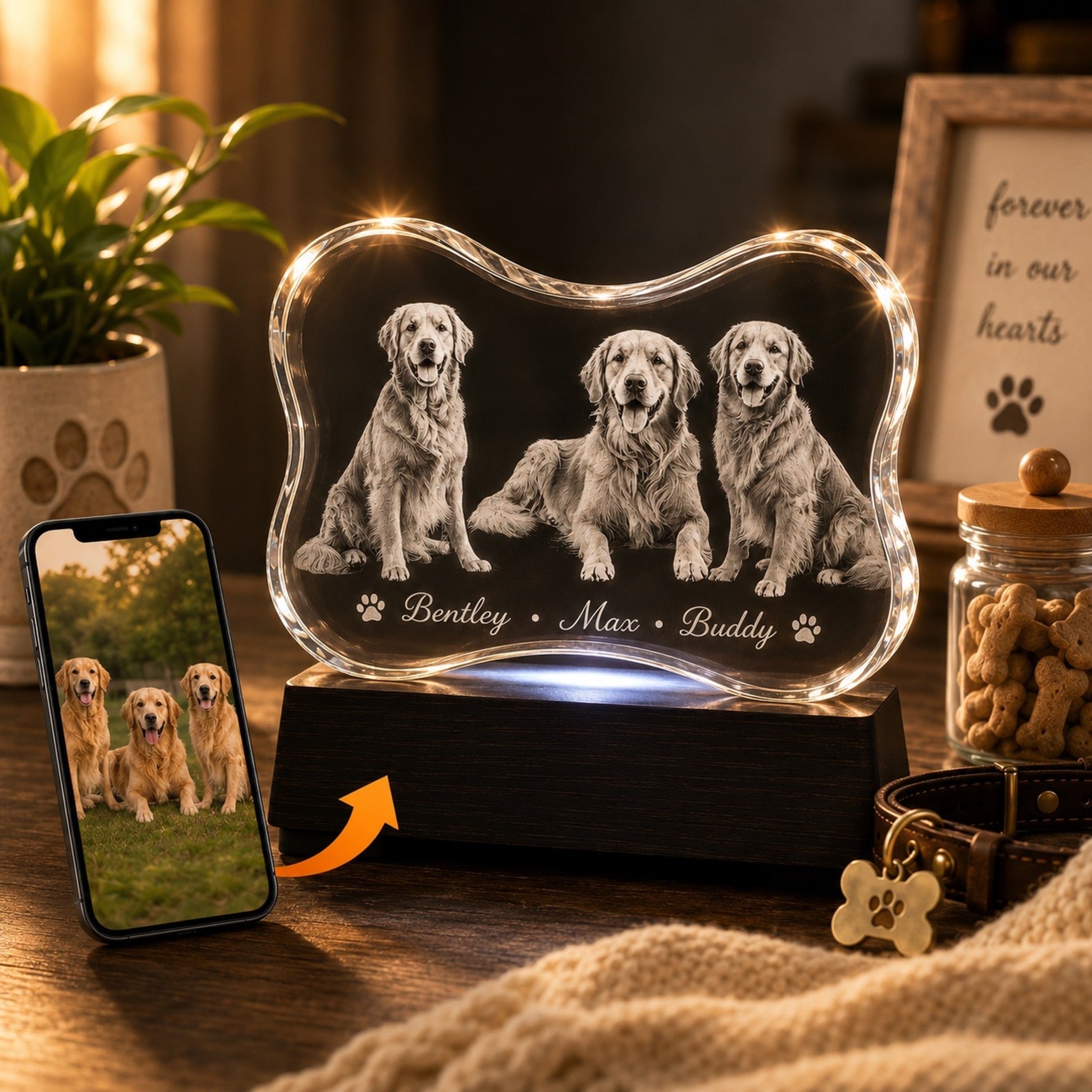 Crystal 3D Pix custom pet bone crystal showing how to choose the perfect photo for 3D laser engraving