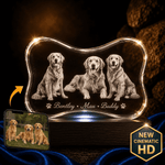 3D Crystal Dog Bone Crystal 3d Pix