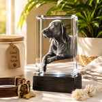 3D Crystal Rectangle- Pet Edition Crystal 3d Pix