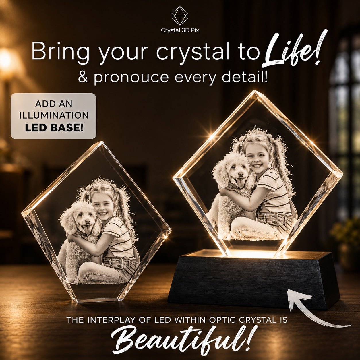 3D Crystal Diamond - Pet Edition Crystal 3d Pix