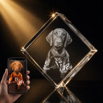 Crystal 3D Pix 3D Crystal Corner Diamond engraved with a dog sits next to a phone showing the dog in a jersey.