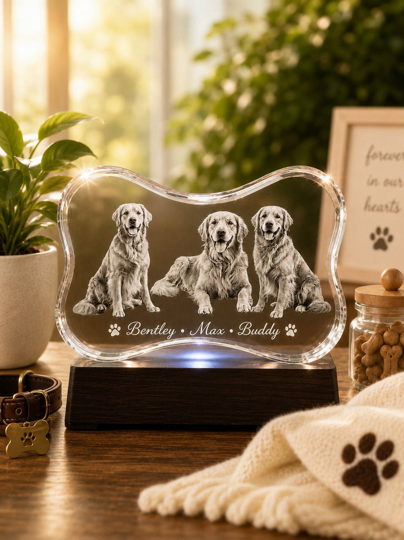 Crystal 3D Pix pet collection category tile – custom pet photo crystal keepsakes