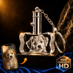 Crystal Pet Keychains Crystal 3d Pix