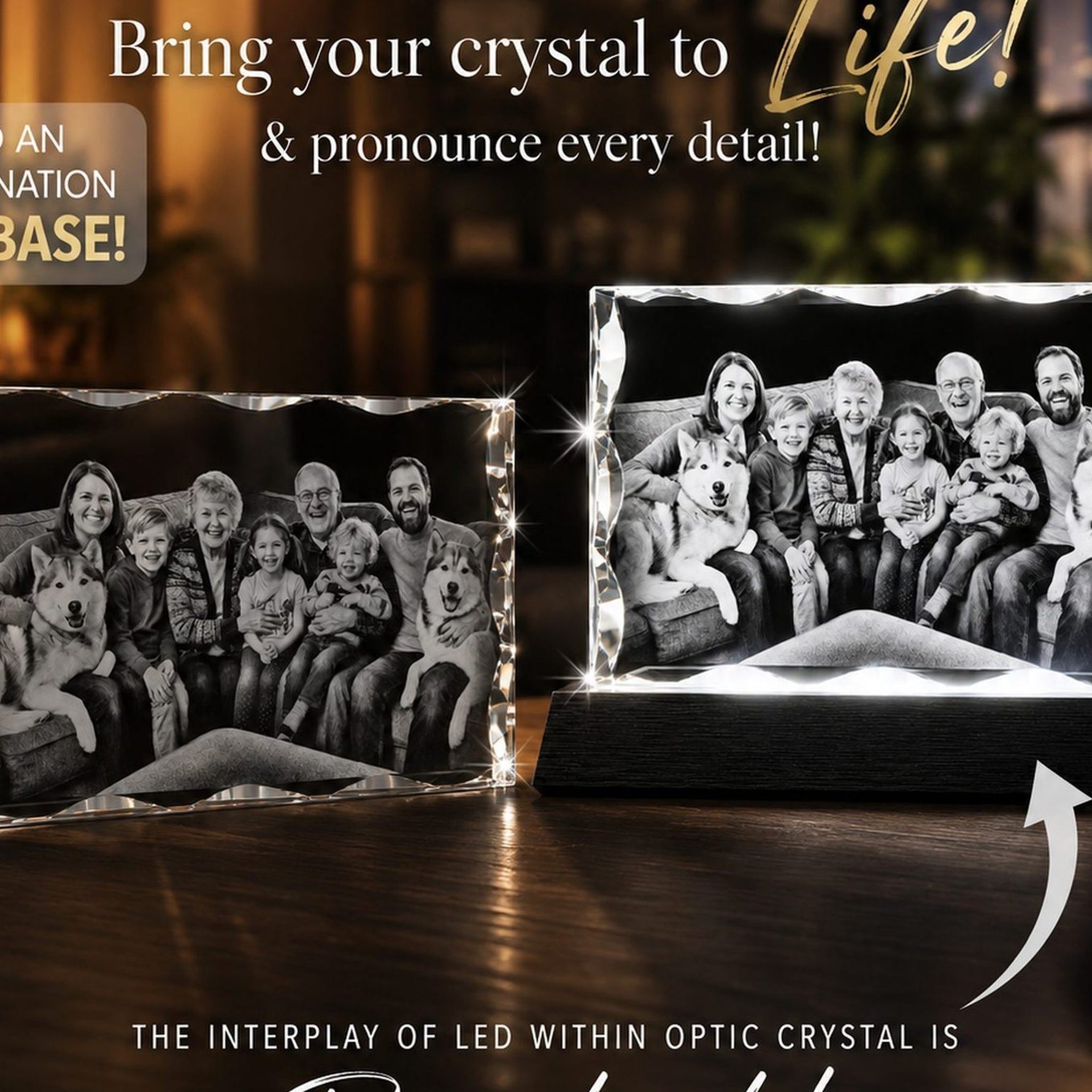 3D Notched Rectangle- Pet Edition Crystal 3d Pix