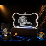 3D Crystal Ornament Crystal 3d Pix