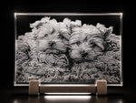2D crystal plaque photo engraving – pet photo gift, gold-tone display | Crystal 3D Pix