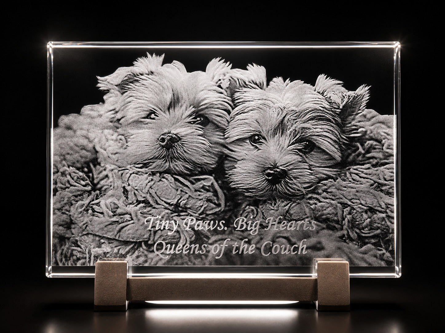 2D crystal plaque photo engraving – pet photo gift, gold-tone display | Crystal 3D Pix
