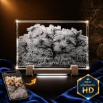 2D crystal plaque photo engraving – pet memorial keepsake, gold-tone display | Crystal 3D Pix