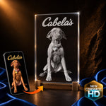 2D crystal tall plaque photo engraving – pet sympathy memorial of a Vizsla dog (Cabela), gold-tone display | Crystal 3D Pix