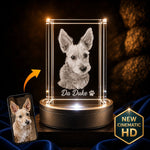 3D Crystal Rectangle- Pet Edition Crystal 3d Pix